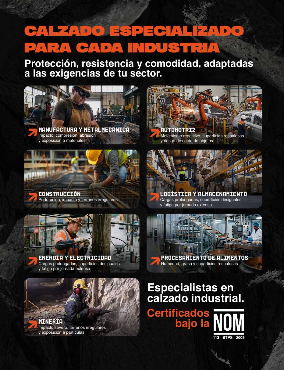 Calzado Berrendo especializado por industria